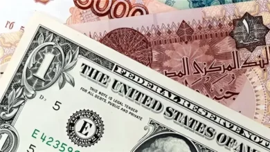 الجنيه ينخفض 9 قروش