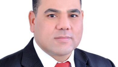 دكتور حماد الرمحي يكتب: انتخابات المحليات.. بوابة الإصلاح السياسي في مصر - Fb Img