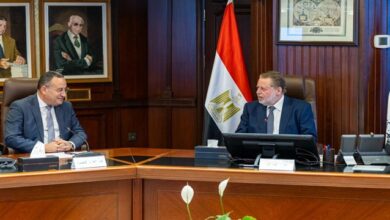 محافظ البنك المركزي يلتقي وزير التعليم العالي والبحث العلمي لبحث التعاون المشترك - محافظ المركزى ووزير التعليم العالى