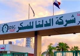 خسائر في الدلتا للسكر