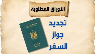 جواز سفر مصري 2026 كوكب نيوز الأصلي