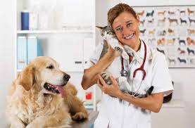 The veterinarian trade union exempts the veterinary clinics from the 9:00 p.m.