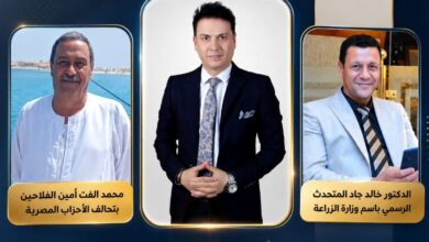 الإعلامي فيصل عبد العاطي